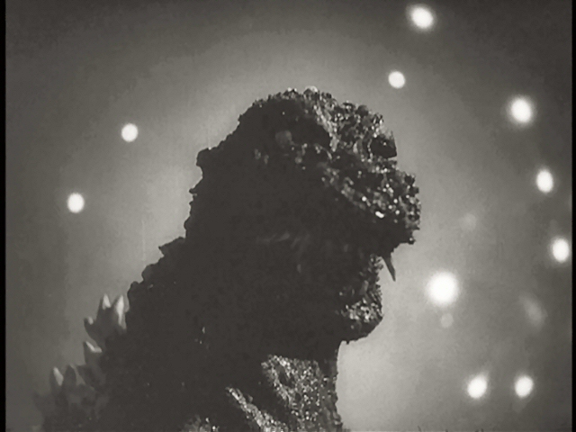 Cody's Film, TV, and Video Game Blog: Franchises: Godzilla. Godzilla ...